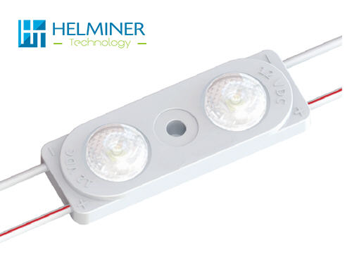   PRISM  LED MODULES , 2 LED 24V 6500K 1W  170 LM / pcs , Signage LED ,  
