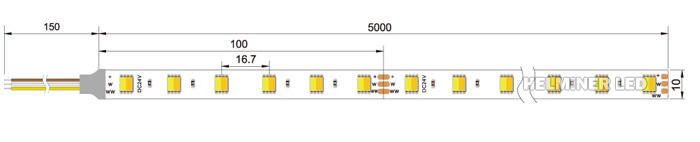   2 in 1 led chip 12v 24V CRI 90 5050 CCT led strips light two color led strip with ce rohs  